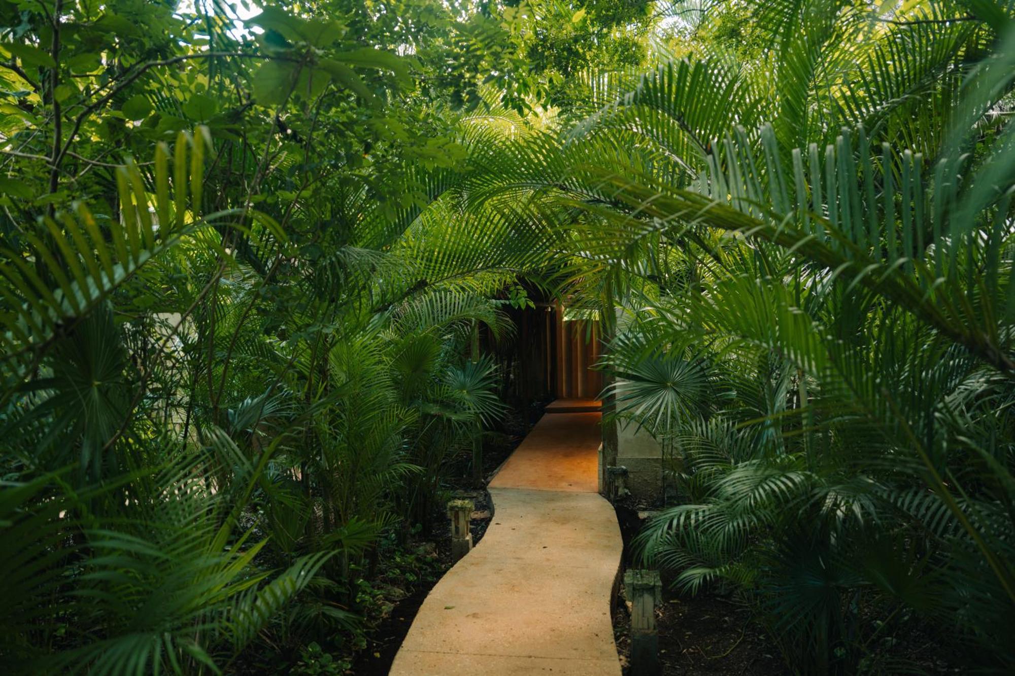 فندق Aldea Coba An Escape Boutique Experience المظهر الخارجي الصورة